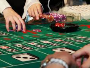 彩神vll购彩最新版